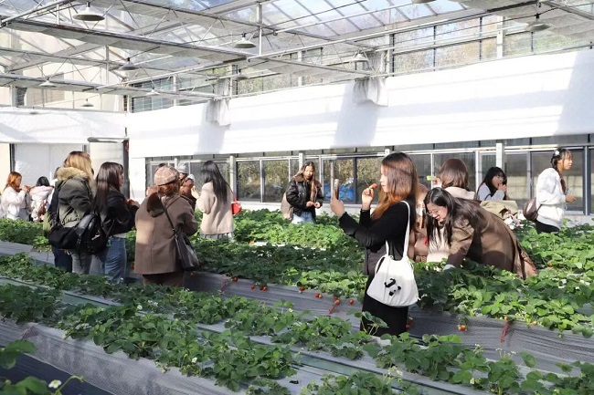 1204-3-3-1.jpg 1204-3-3-1.jpg